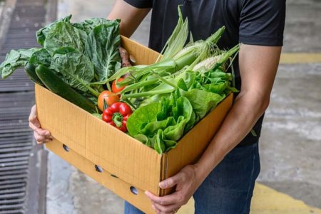 Volunteer - Produce Distribution